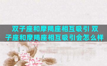 双子座和摩羯座相互吸引 双子座和摩羯座相互吸引会怎么样
